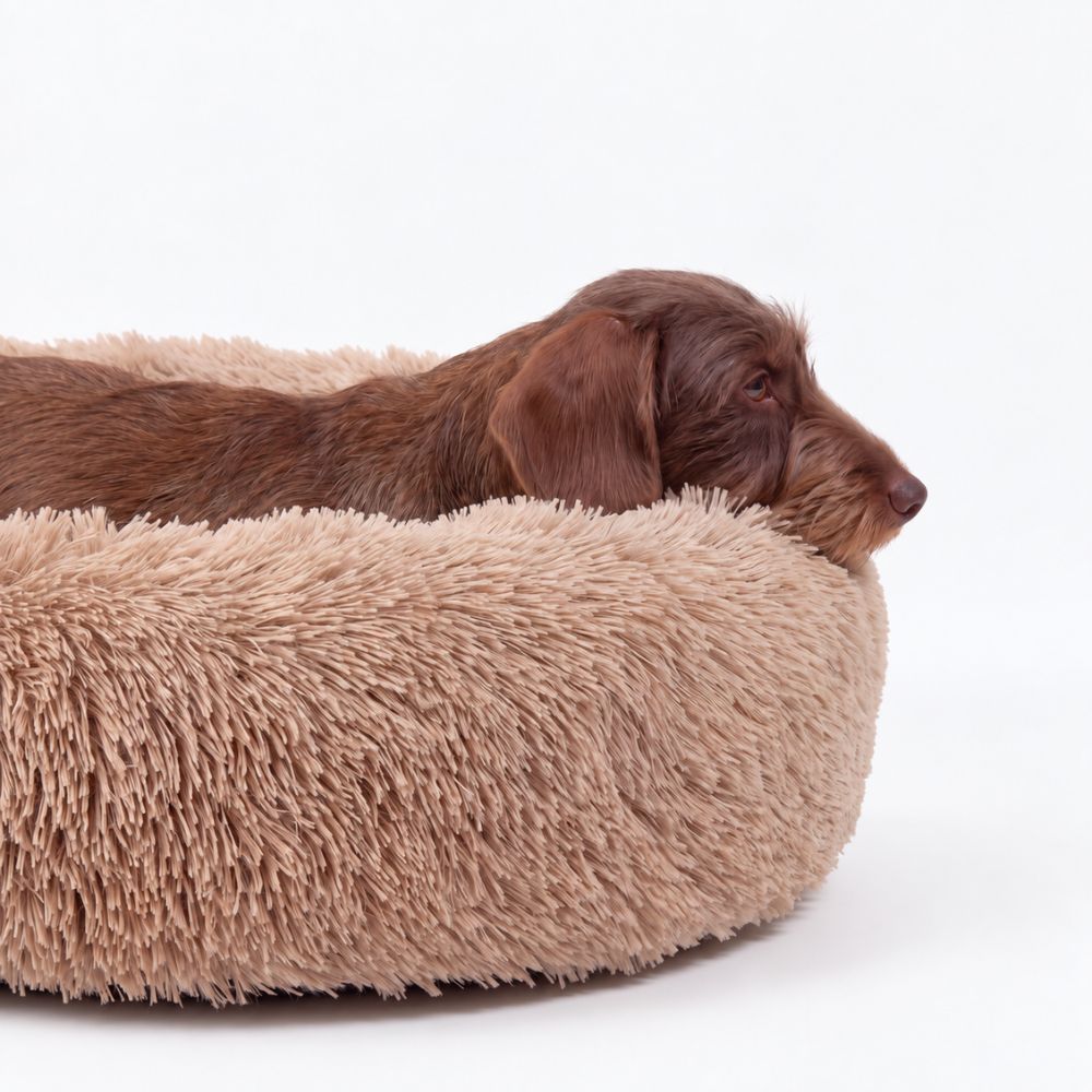 Hundeseng SKY Beige