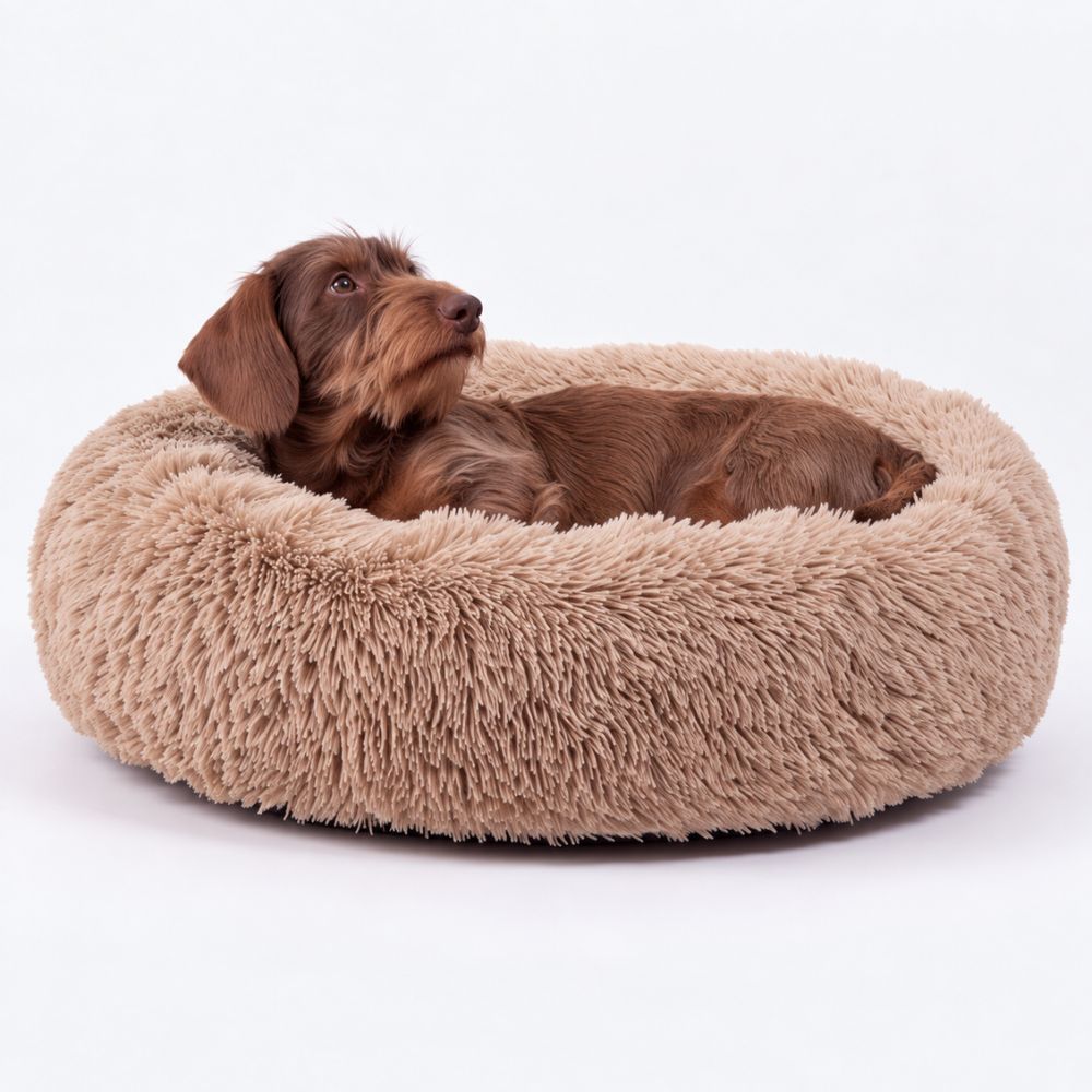 Hundeseng SKY Beige