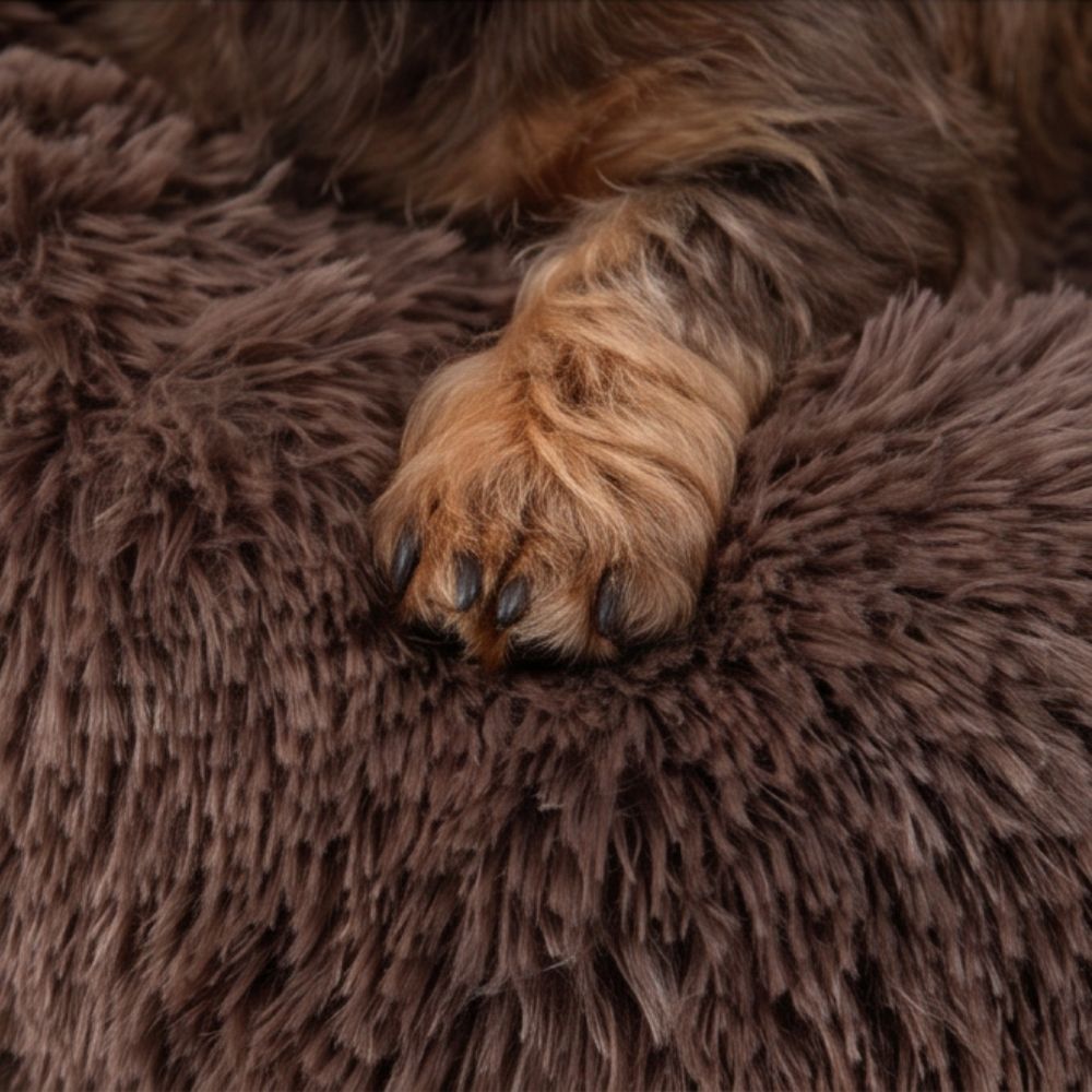Hundeseng SKY Brun
