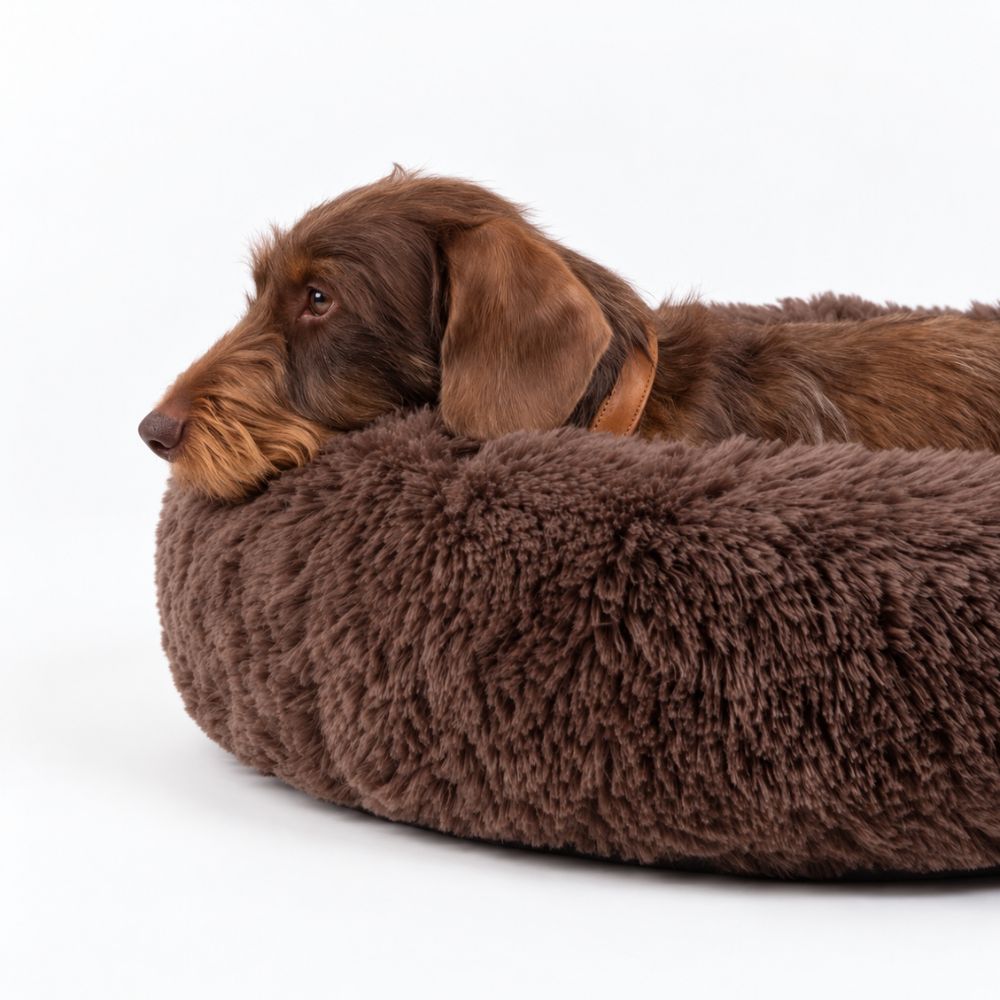 Hundeseng SKY Brun