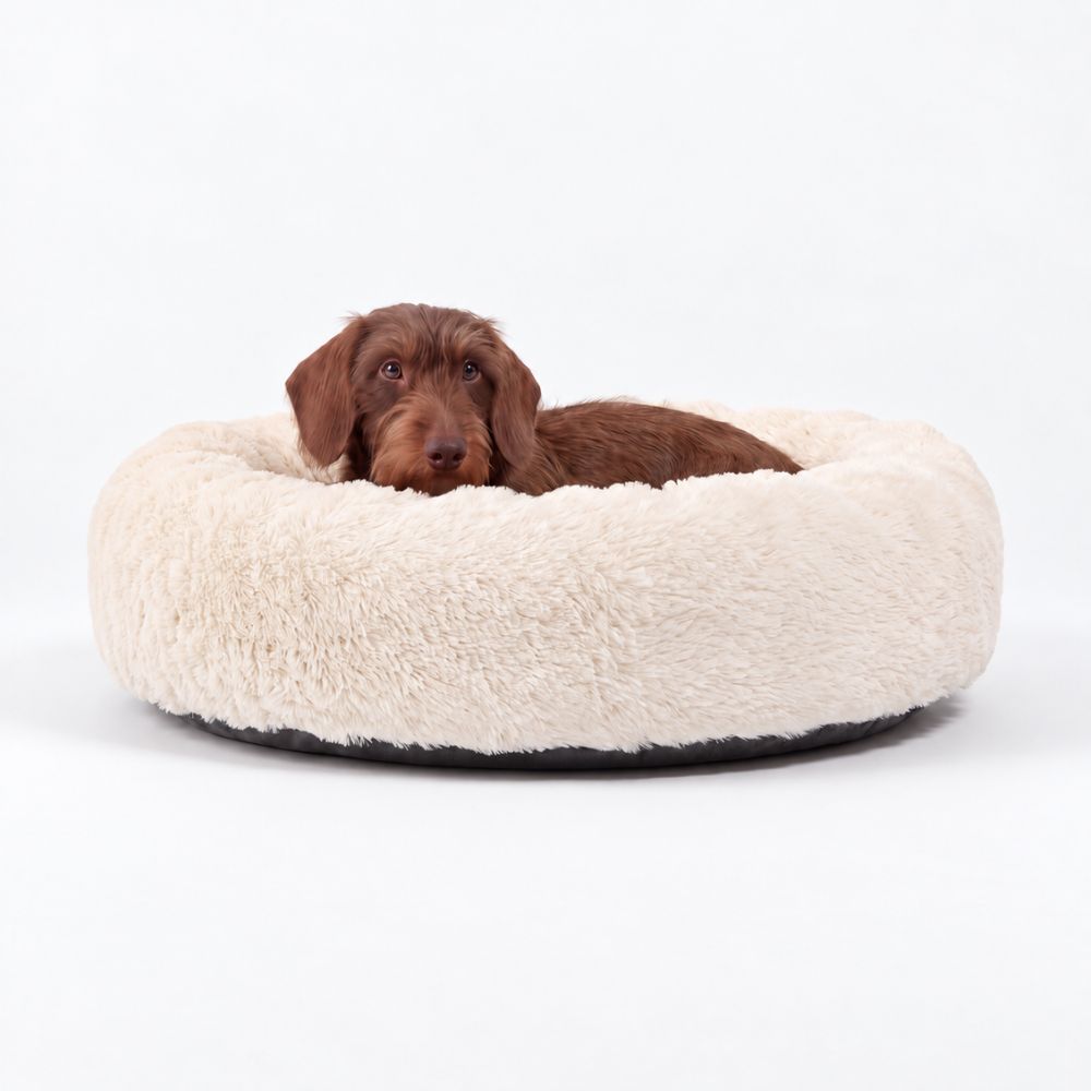 Hundeseng SKY Creme