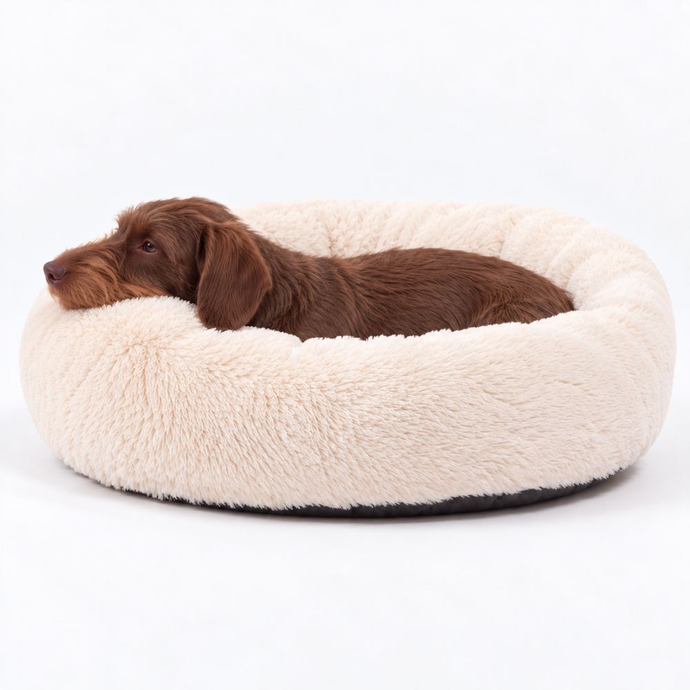 Hundeseng SKY Creme