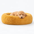 Hundeseng SKY Honninggul