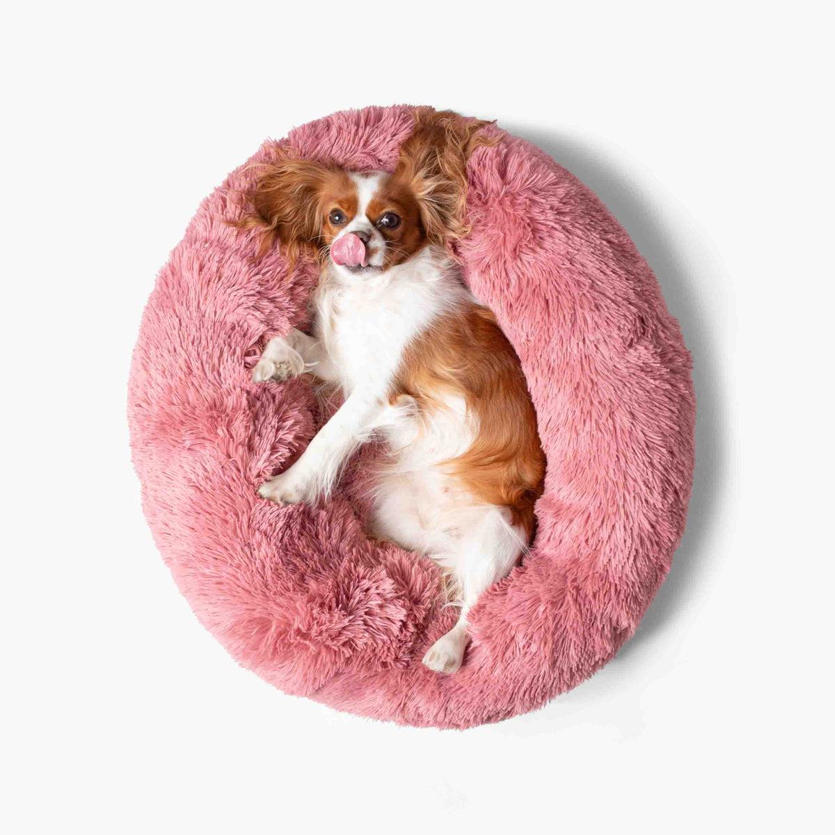 Hundeseng SKY Rosa