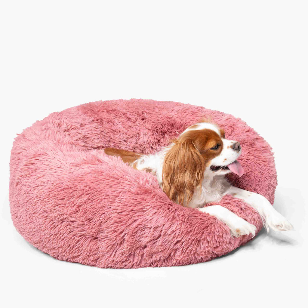 Hundeseng SKY Rosa