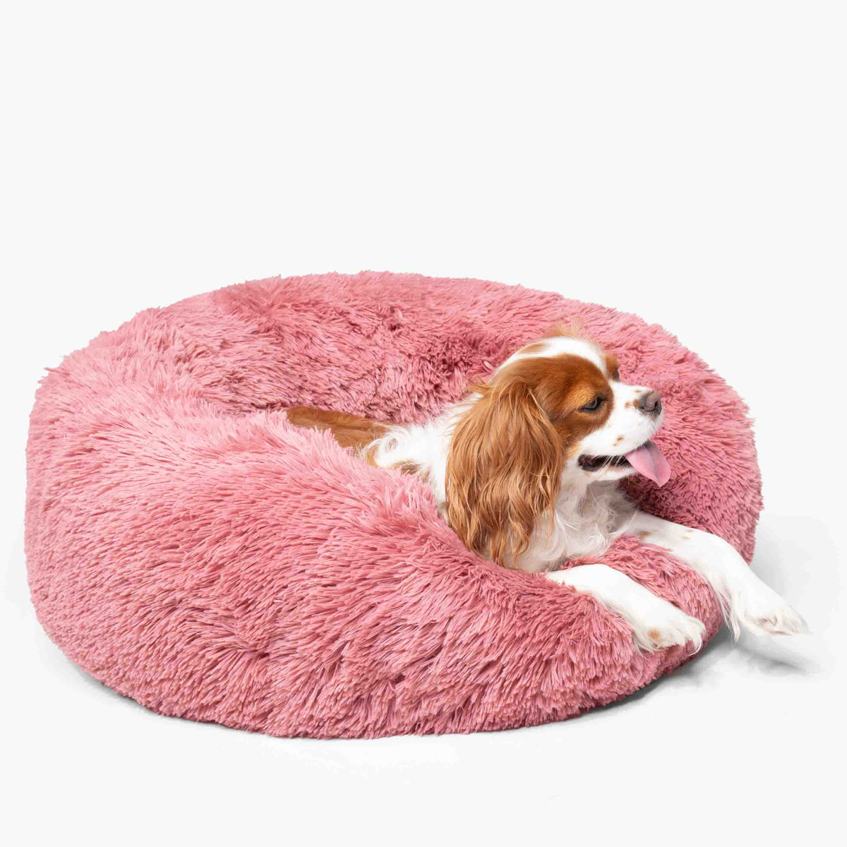 Hundeseng SKY Rosa