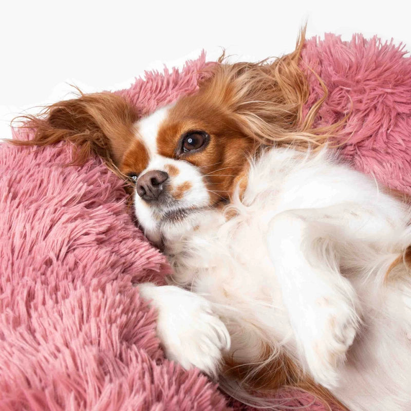 Hundeseng SKY Rosa