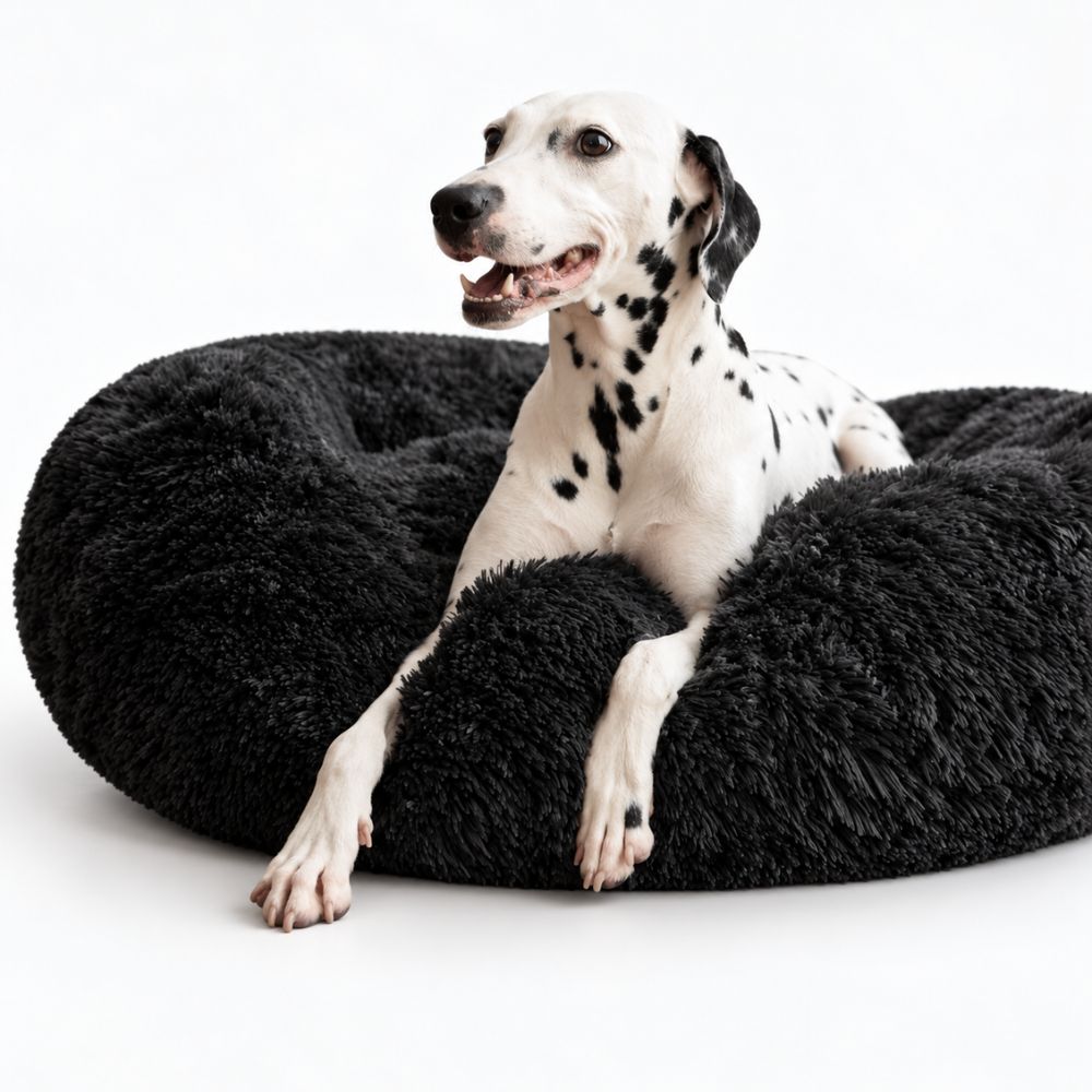 Hundeseng SKY Sort