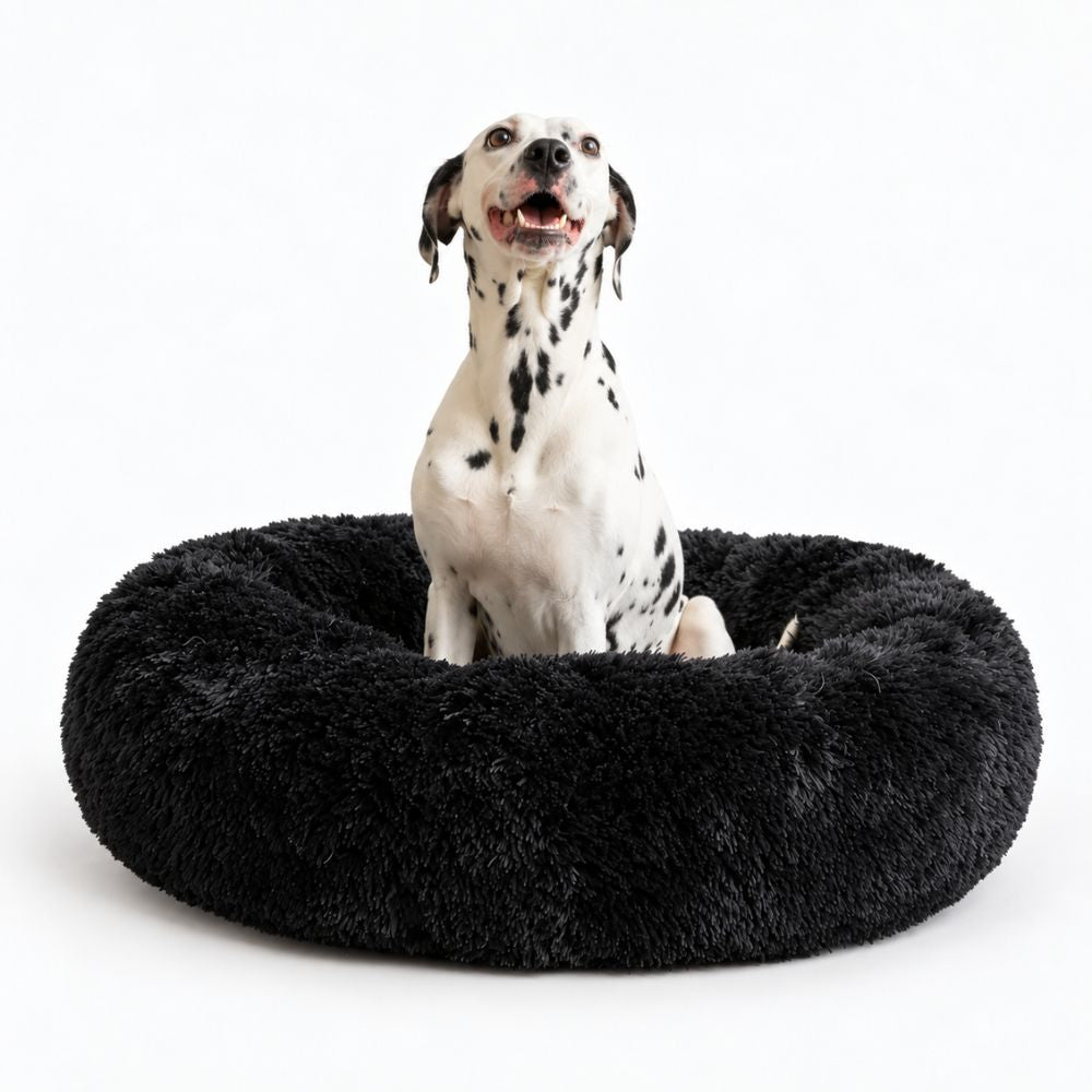 Hundeseng SKY Sort